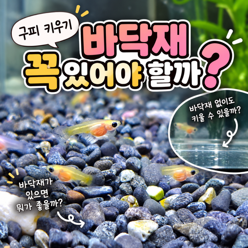 구피 키우기 바닥재 꼭 있어야 할까? 장단점과 어항 바닥재 추천