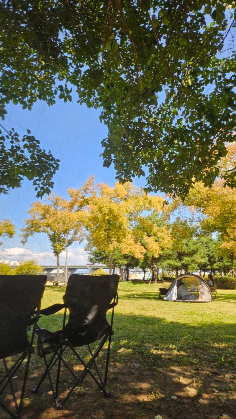 Perfect Picnic in the City: Jamsil Hangang Park's Best Shaded Spots & Successful Boyoung Mandu Jjolmyeon Delivery!
