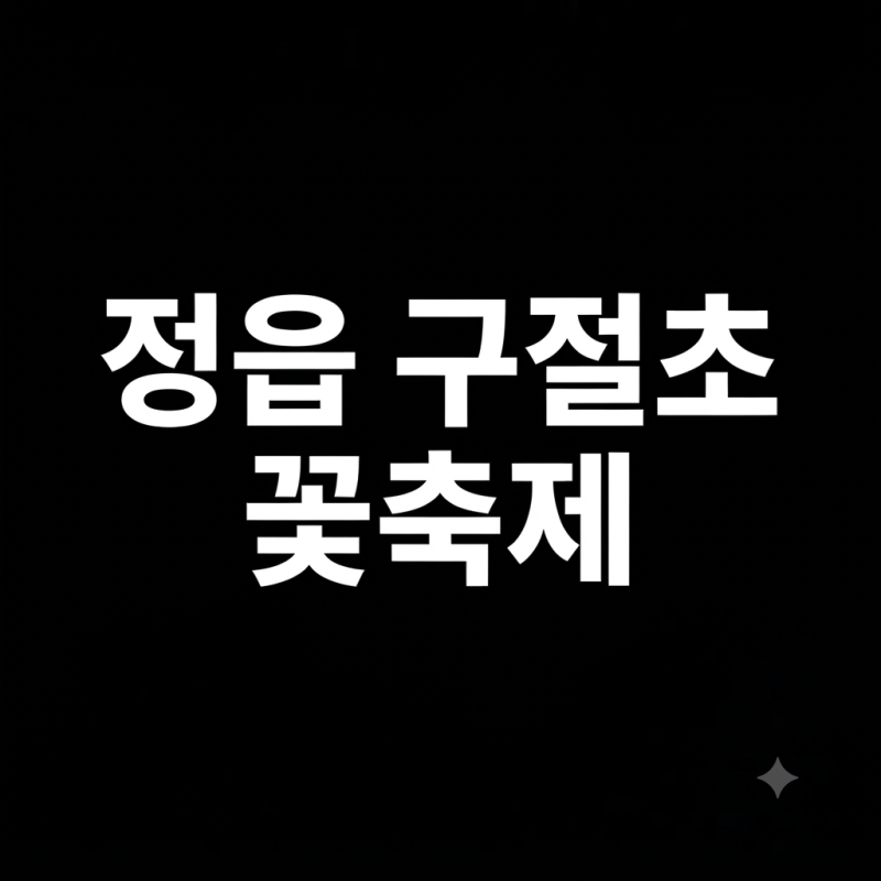 2026 정읍 구절초 지방정원 꽃축제가을에 꼭 가보고 싶은 구절초 명소, 일정부터 입장료·주차....