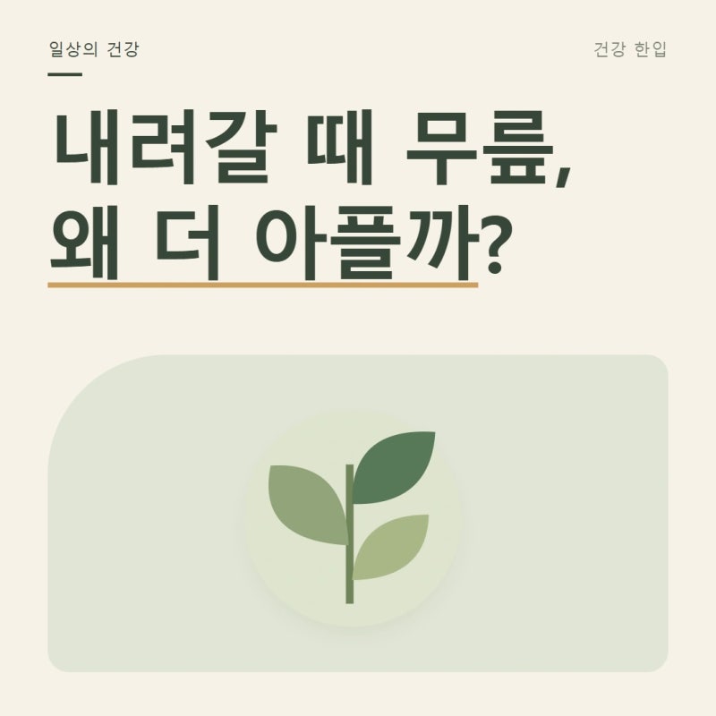 계단을 내려갈 때 무릎이 더 아프다면, 관절 부담 줄이는 움직임