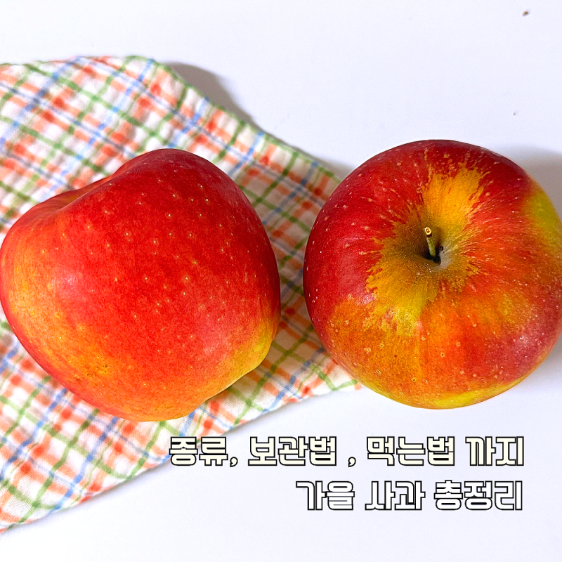 사과 보관법 잼 요리 종류, "달콤 새콤한" 바나나 주스 만들기