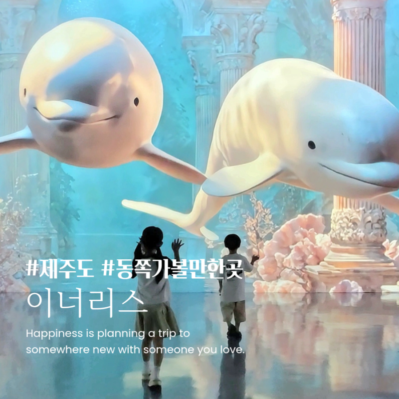 제주도실내관광지 아이와 가기 좋은 미디어아트 제주동쪽가볼만한곳 이너리스