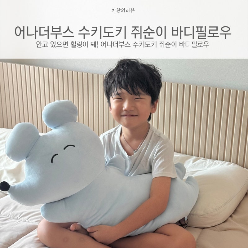 안고 있으면 힐링이 돼! 어나더부스 수키도키 쥐순이 바디필로우