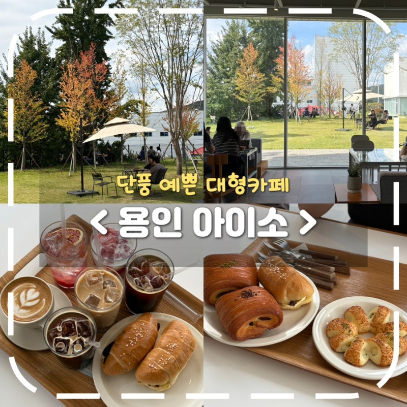 [용인 대형카페] 숲속 베이커리 카페 '아이소' | 가을 단풍명소, 주차 후기