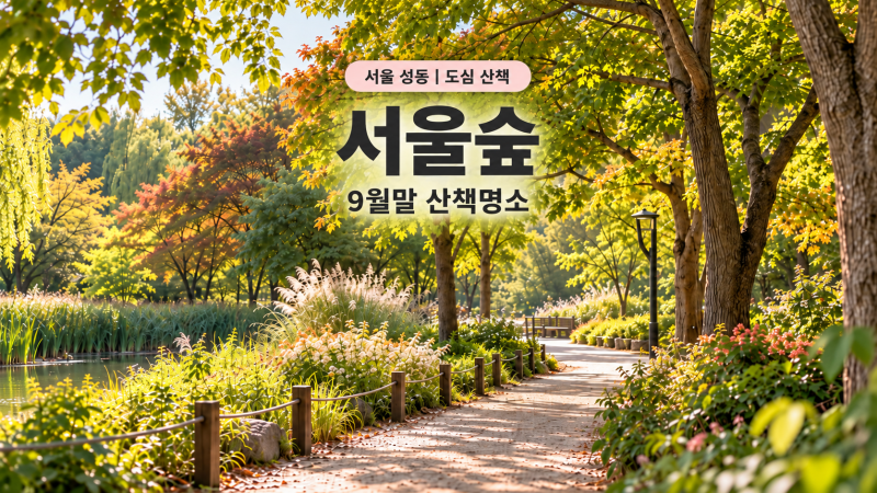 서울숲, 은행나무만 기다리지 마세요 | 9월말 산책명소