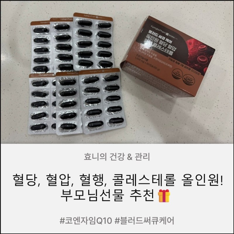 코엔자임Q10 블러드 써큐 케어, 혈당 혈압 혈행 콜레스테롤 부모님선물 추천
