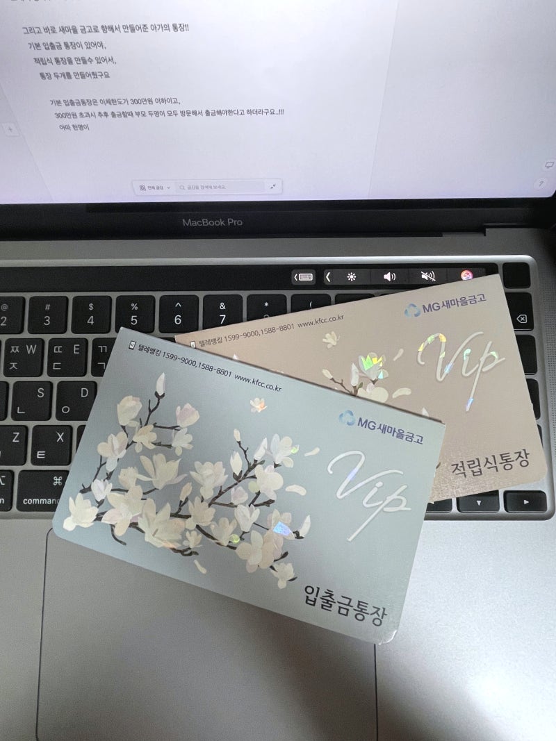 신생아 적금 추천 :: 새마을금고 말띠 적금 가입 후기