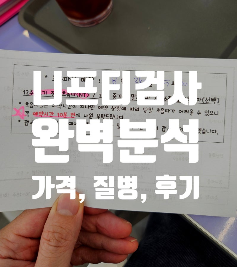 ESTJ 임산부 기록 : '니프티 검사' 방법, 비용, 시기, 익스펜션 등급의 진실 (소요시간 16일 대기....