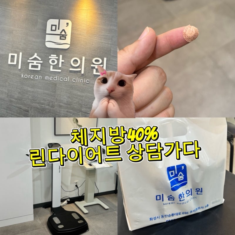 린다이어트 동탄2 미숨한의원 상담후기