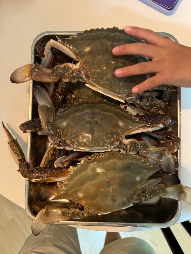 가을 꽃게 찜 맛있게 찌는 법  시간부터 보관까지! 제철 꽃게 제대로 먹기