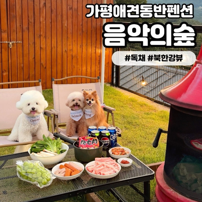 [음악의숲] 가평애견동반펜션 감성 가득한 북한강뷰 신축 독채 숙소 추천