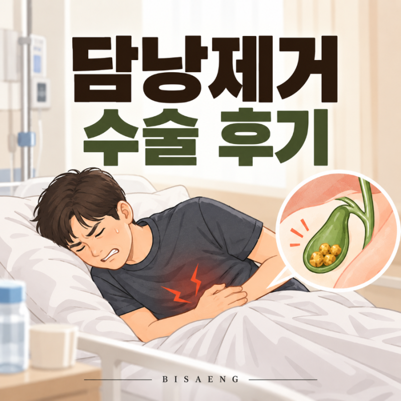 담낭제거 수술 후기 단일공 복강경 수술시간 통증 실제 담석까지
