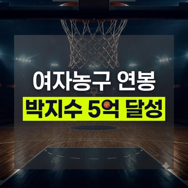 여자농구 연봉 순위 및 최고 연봉 선수 총정리 (WKBL 샐러리캡 규정)
