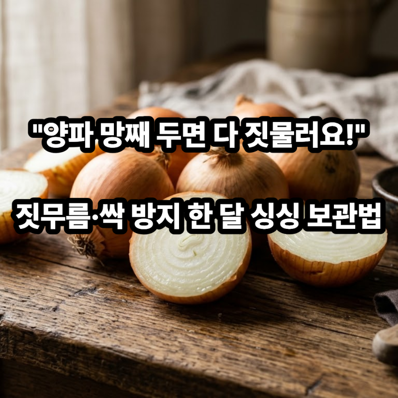 양파 보관법 망 수건 신문지 보관 짓무름 싹 방지 한 달 싱싱하게 먹는 법