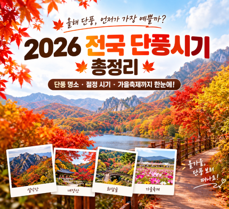 2026 단풍 언제가 가장 예쁠까? 전국 단풍 절정 시기 총정리 화담숲·내장산·설악산 + 가을축....