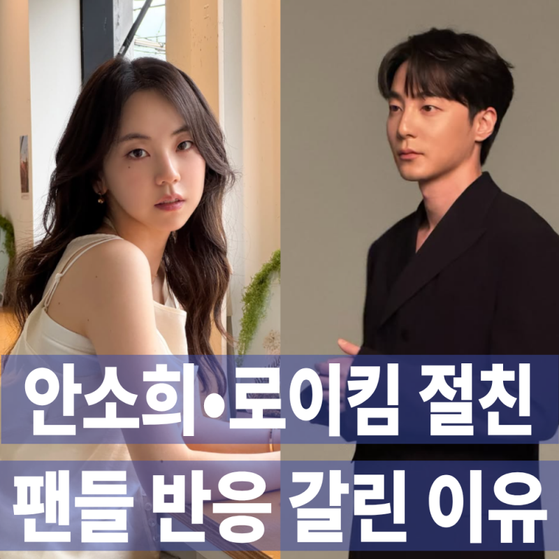 "실망했다" 구독 취소 폭주… 안소희, 로이킴과 '10년 우정' 공개했다가 난리 난 이유