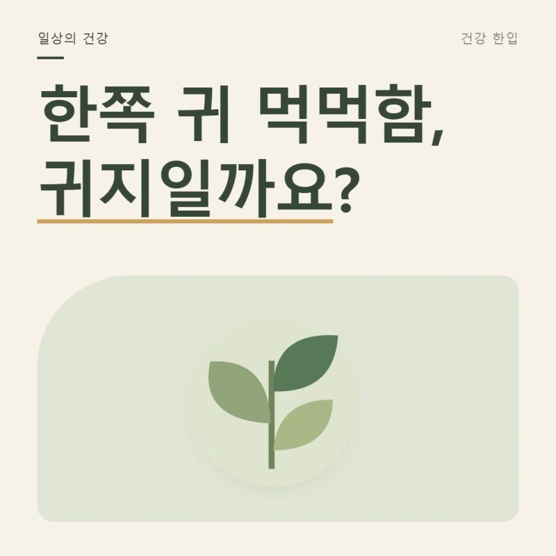가끔 한쪽 귀만 먹먹하다면, 귀지와 이관 기능 구분하기
