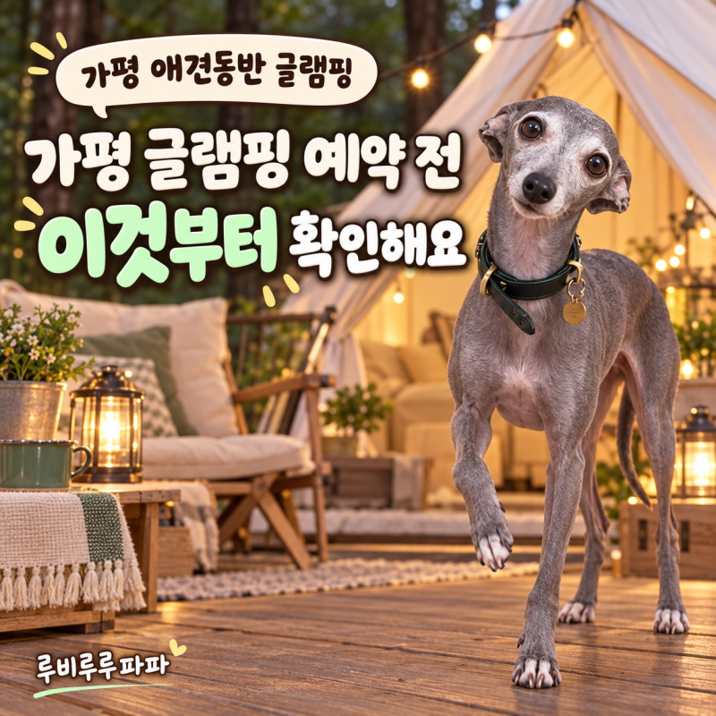 가평 애견동반 글램핑, 예약 전 이것부터 확인해요