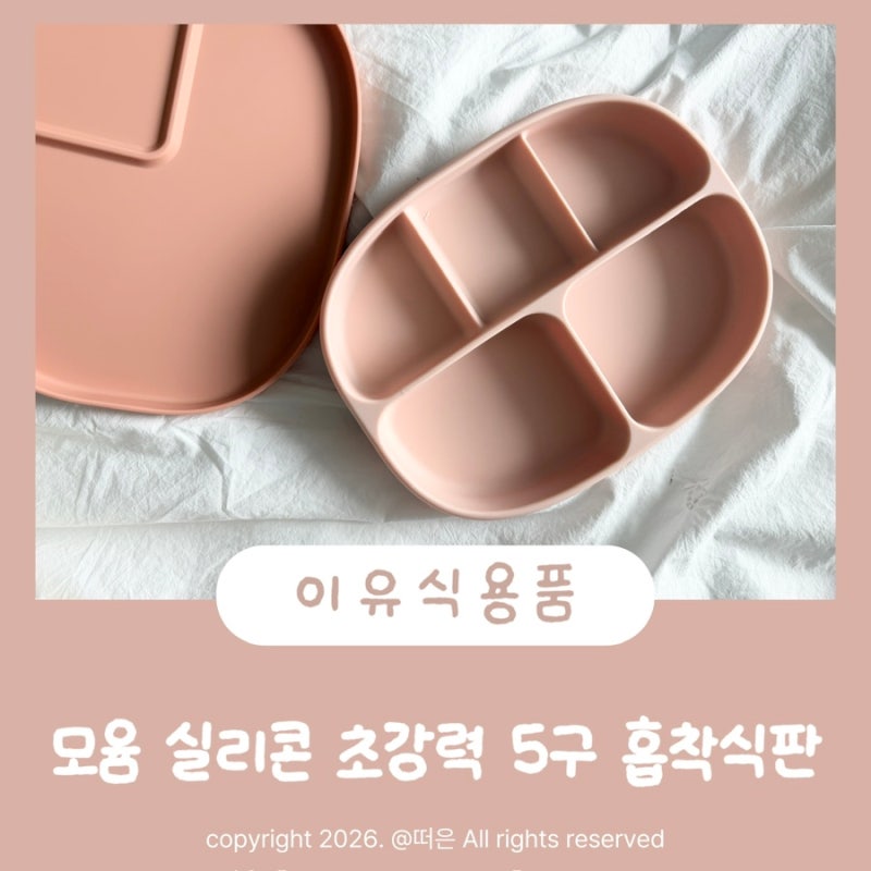 초기이유식식판 모윰 5구 초강력 흡착식판, 아기식판으로 사용해봤어요