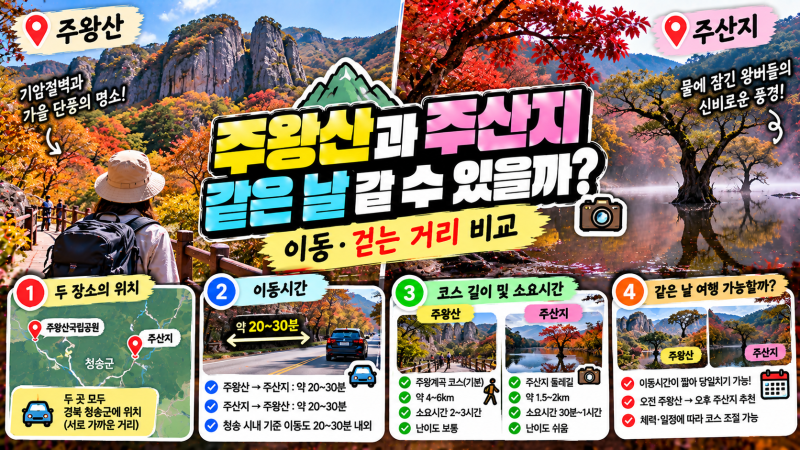 주왕산과 주산지 같은 날 갈 수 있을까? 이동·걷는 거리 비교