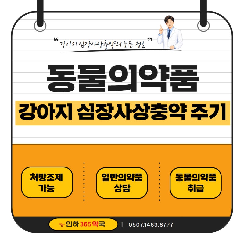 강아지 심장사상충약 주기, 주의해야 되는 시기부터 복용 방법까지 - 인하대 약국