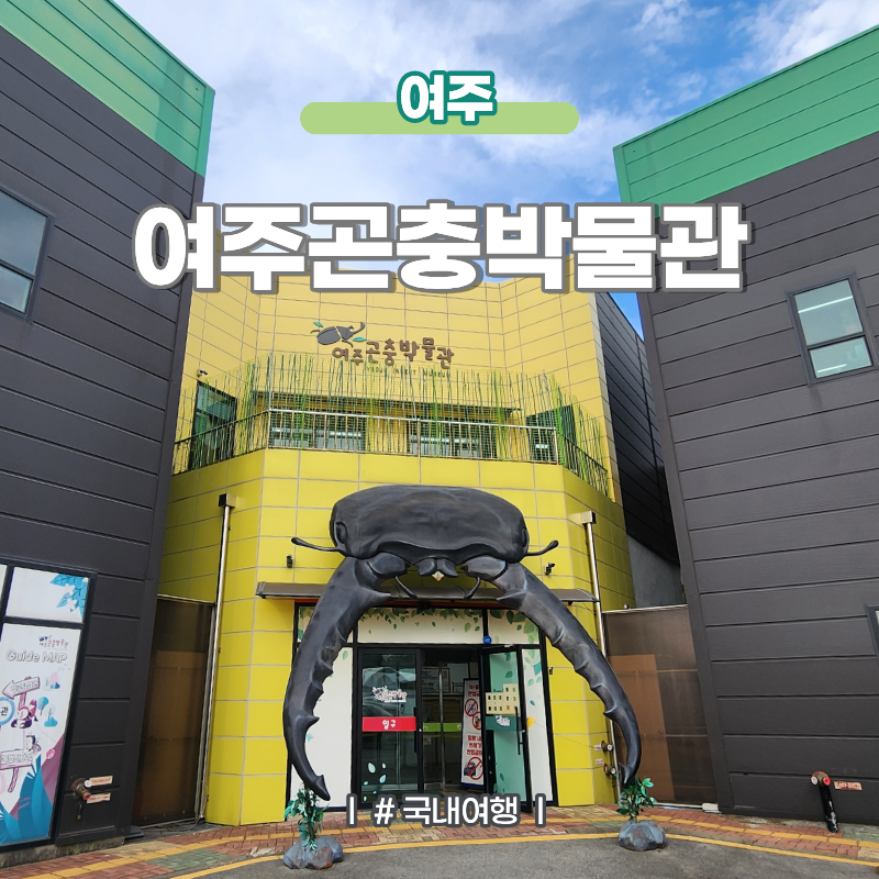 경기도 여주 아이와 가볼만한곳 여주곤충박물관 체험정보