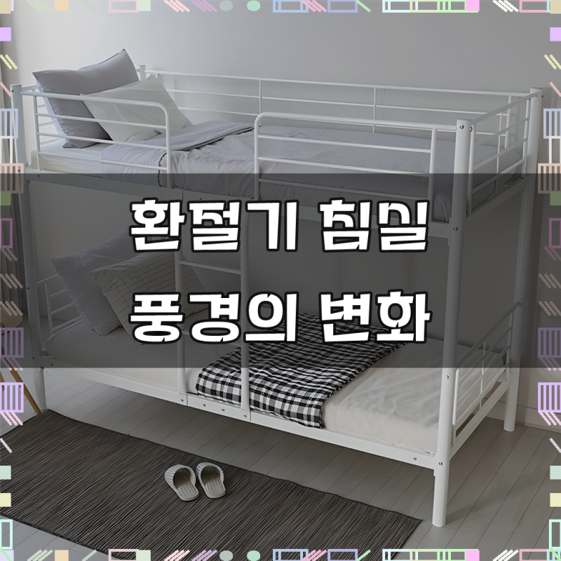 일루일루 코지 분리형 2층침대 프레임 성인 이층 저상형 낮은 철제 기숙사