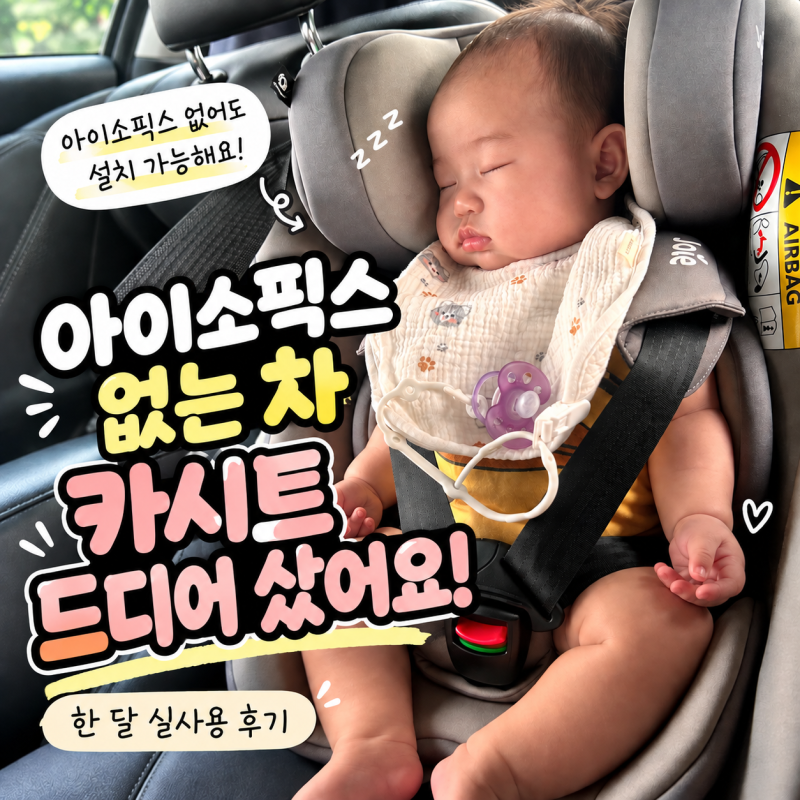 아이소픽스 없는 차 카시트, 드디어 샀어요｜조이 스테디 R129 안전벨트 설치 후기