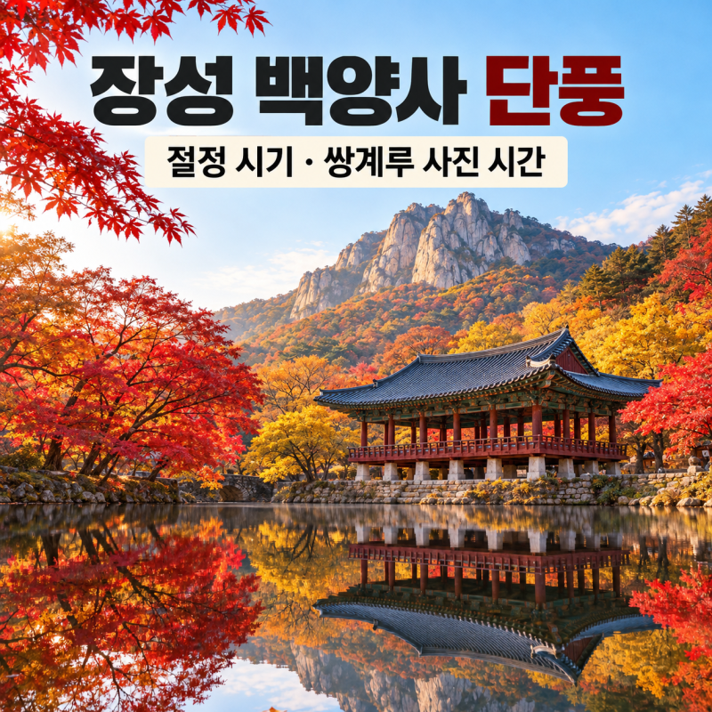 2026 장성 백양사 단풍 절정 시기｜쌍계루 사진 찍기 좋은 시간과 포토존