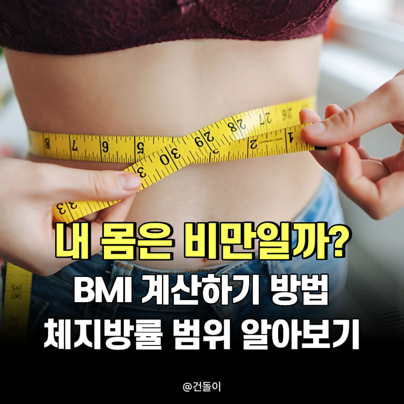 "내 몸은 비만일까?.." BMI 계산하기 방법과 체지방률 범위까지