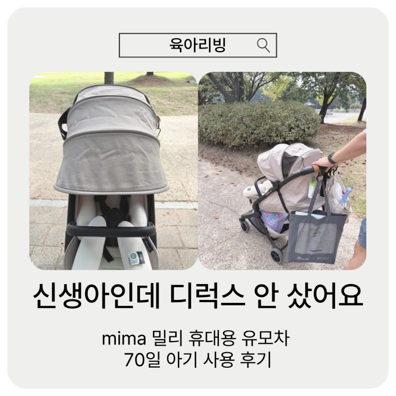 신생아 휴대용 유모차 미마 밀리 후기, 둘째맘이 디럭스 대신 선택한 이유