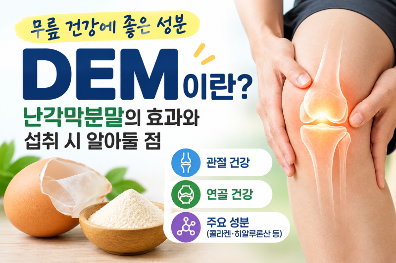 무릎 건강에 좋은 성분 DEM, 난각막분말이란? 효과와 섭취할 때 알아둘 점