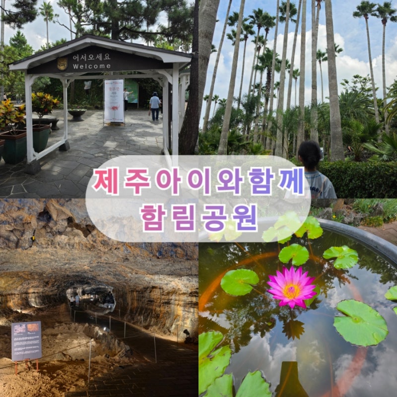 제주 한림공원 아이와 가볼만한곳 볼거리 가득했던 방문 후기