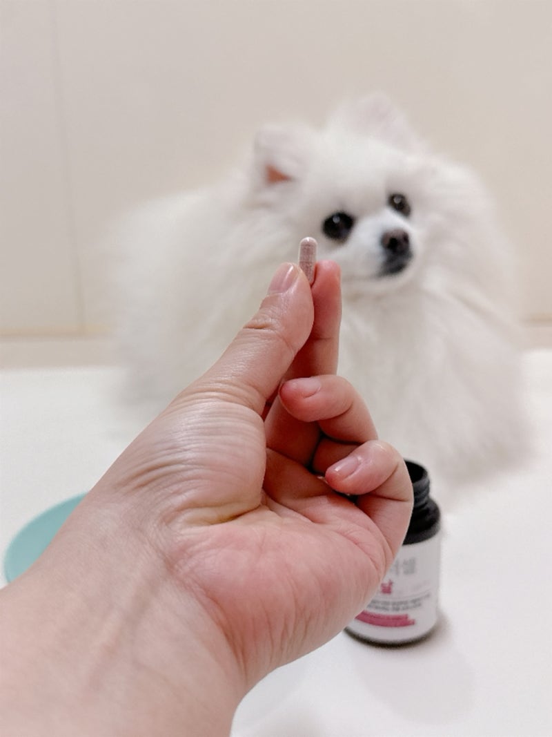 고양이 강아지 신장 영양제 유레날로 혈뇨 방광염 케어