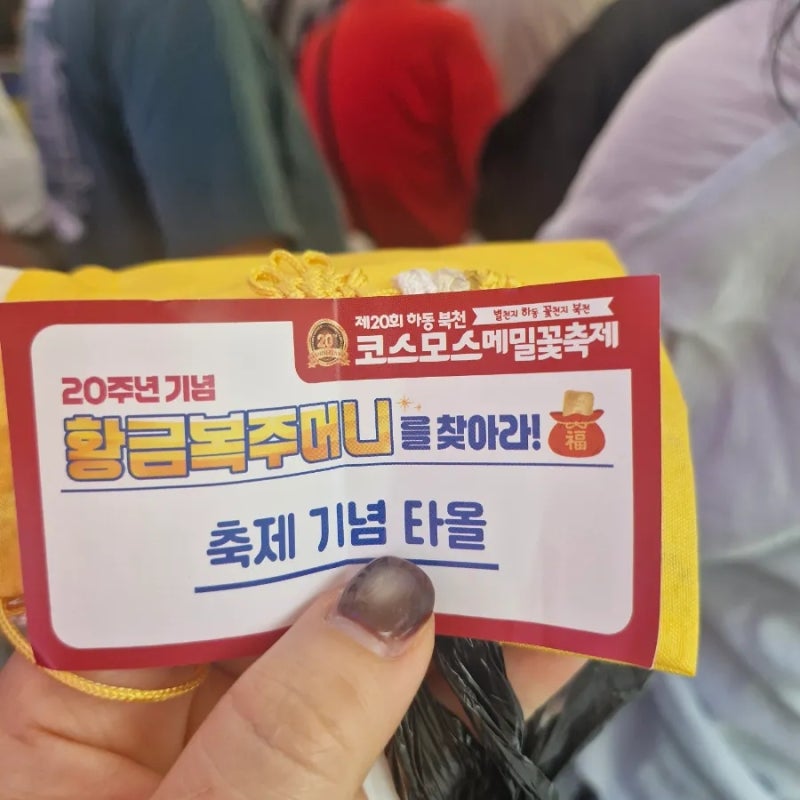 [경남 하동] 코스모스축제 황금복주머니