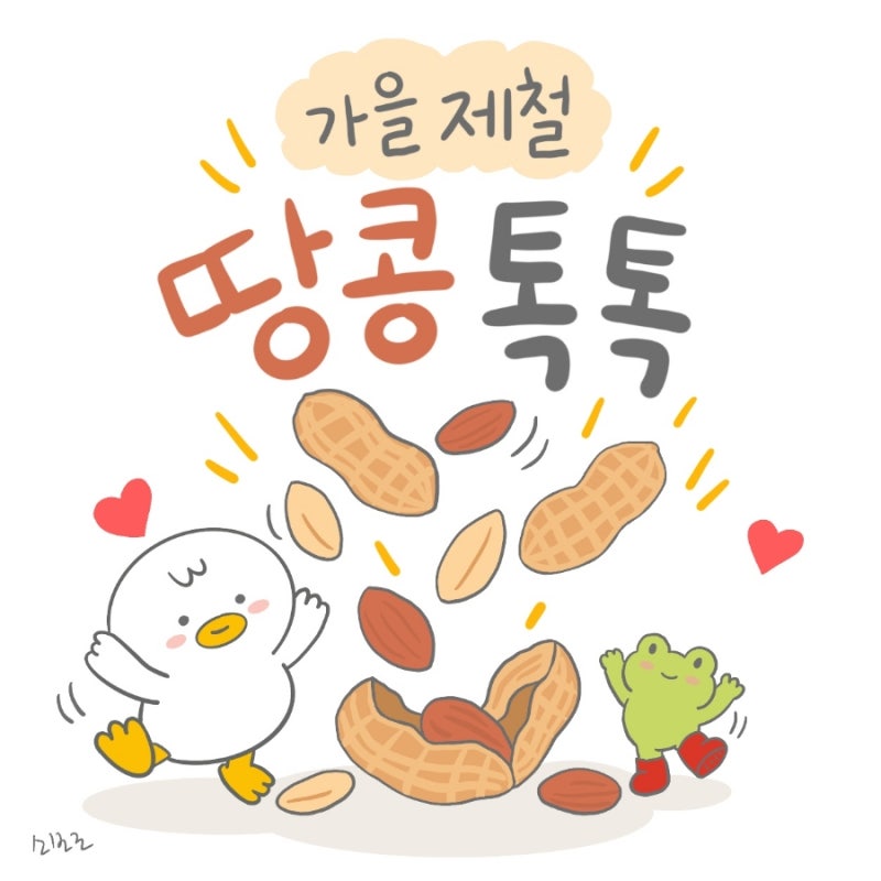 땅콩 삶는 방법과 보관법 효능 , 땅콩버터 100% 활용법