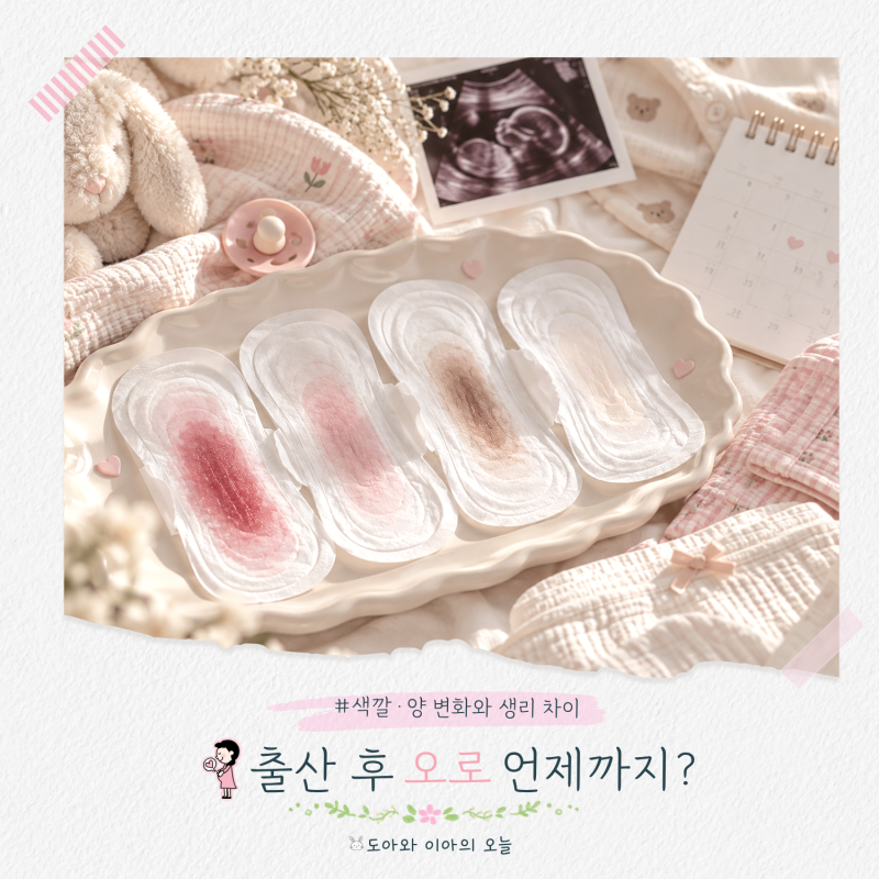출산 후 오로 언제까지? 색깔·양 변화와 생리 차이
