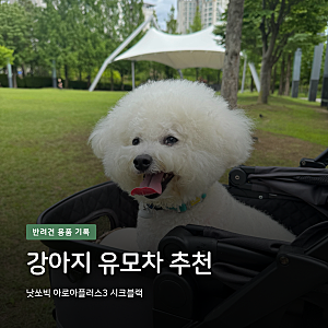 강아지 유모차 추천｜낫쏘빅 아로아플러스3(분리형)