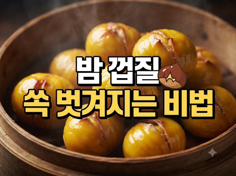 밤 삶는 방법과 삶는 시간: 껍질 쏙 벗겨지게 삶는 법과 찌는법 비교