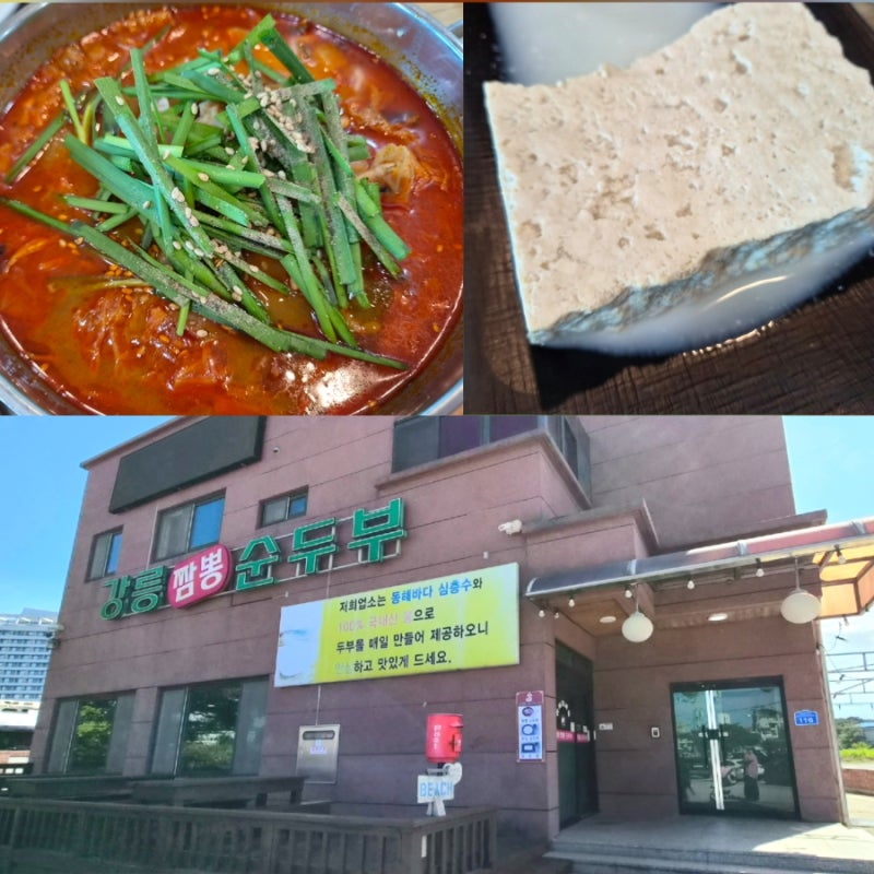 강릉 초당순두부 마을 맛집 추천! 반려동물 동반 가능한 강릉짬뽕순두부 본점 솔직 후기 도....