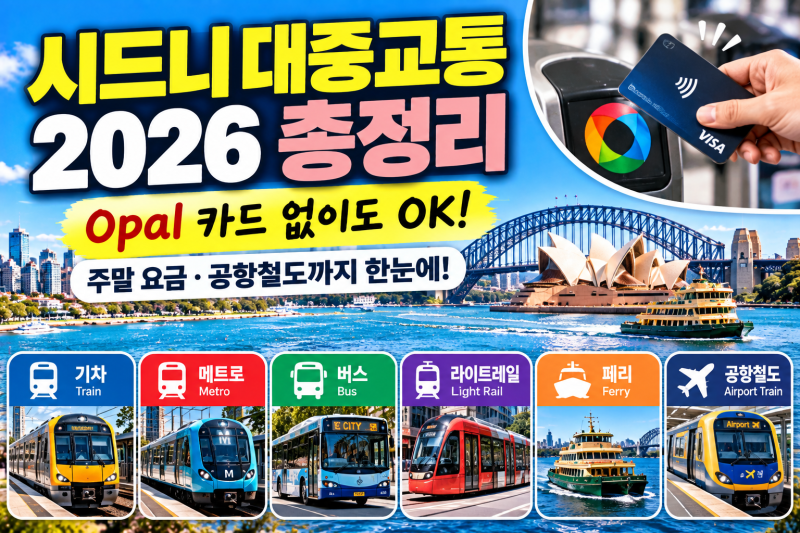 시드니 대중교통 2026 총정리｜Opal 카드 없이 타는 법부터 주말 요금·공항철도까지