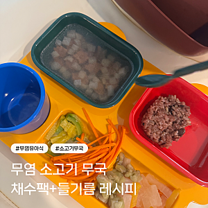 돌아기 소고기 무국 무염 레시피, 냉동보관 1개월 꿀팁까지