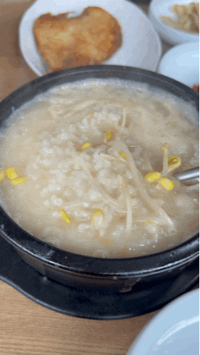 양양 맛집 감나무식당 솔직후기 | 황태국밥 맛집