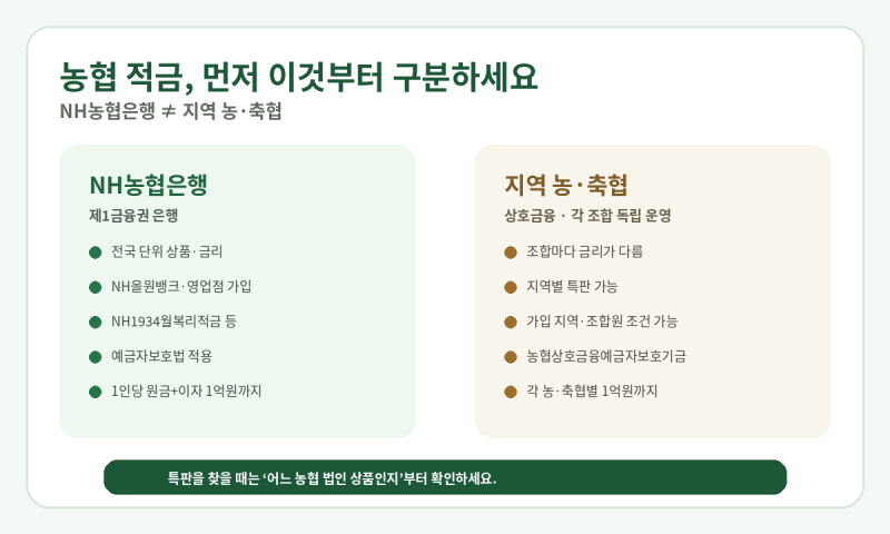 농협 정기적금 금리 총정리 금리 비교, NH농협은행 vs 지역농협, 특판, 세후 이자, 예금자보호