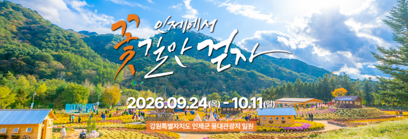 2026 인제 가을꽃축제｜주차부터 인생샷 명소, 맛집까지