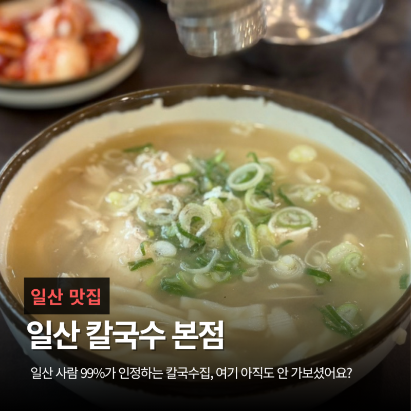 일산칼국수 본점 후기 ㅣ | 40년 전통 닭칼국수 웨이팅 맛집 완벽 정리