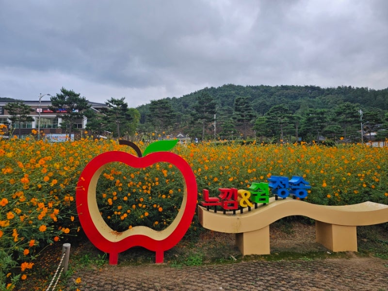 청송여행 청송숙소 소노벨청송 소노벨청송맛집 청송가볼만한곳