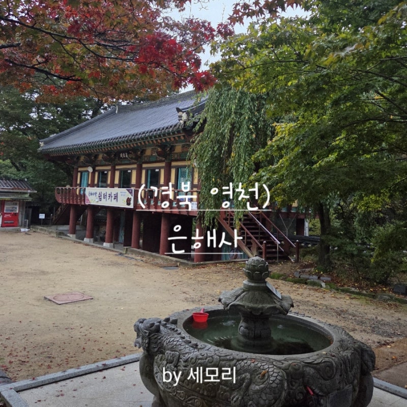 [경북 영천시 팔공산] 은해사-설총 일연 원효 고승을 배출한 사찰