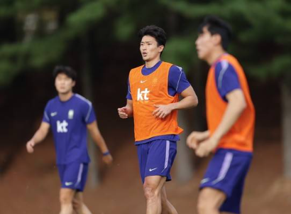 조규성 소집 해제 결국 출전 없이 덴마크 복귀 회복 필요 무슨 일