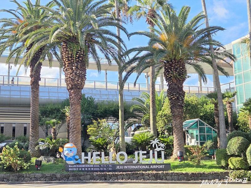 제주 렌트카 제주도 렌트카 자차 추천